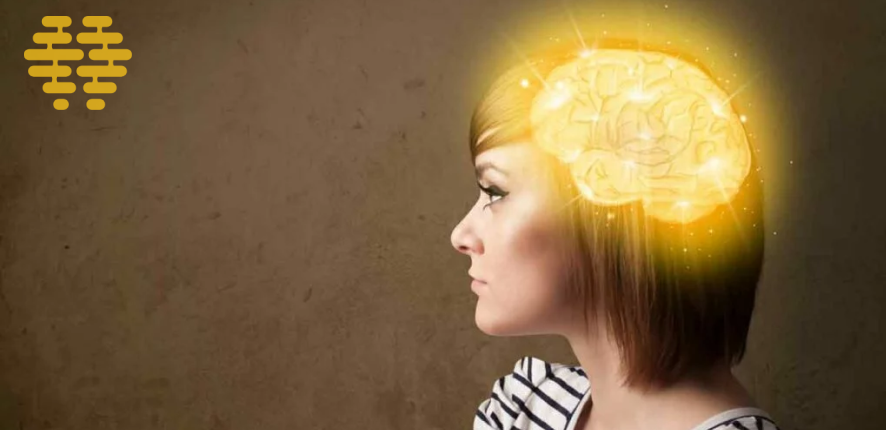 rTMS International - rTMS en neuroplasticiteit