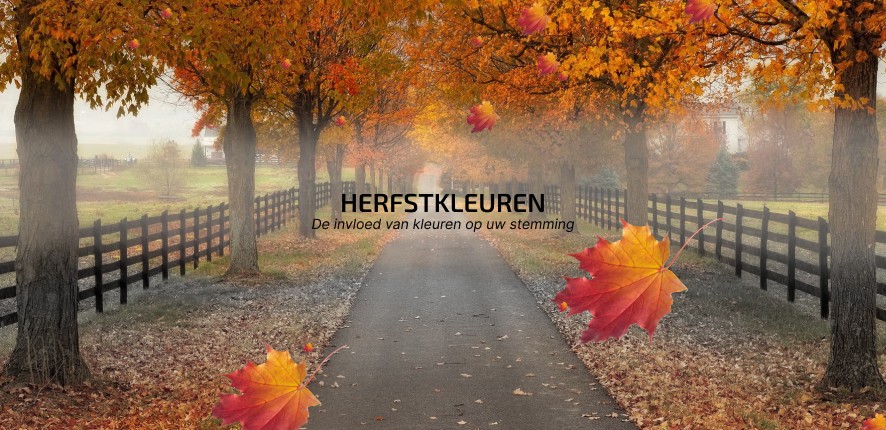 rTMS International - Herfstkleuren en kleurenpsychologie