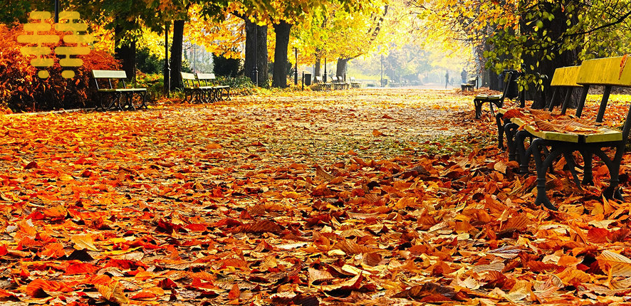 rTMS International - Tips voor meer energie en mentale veerkracht tijdens de herfst en winter