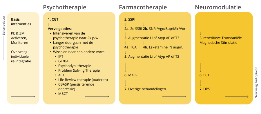 rTMS International - Depressierichtlijn